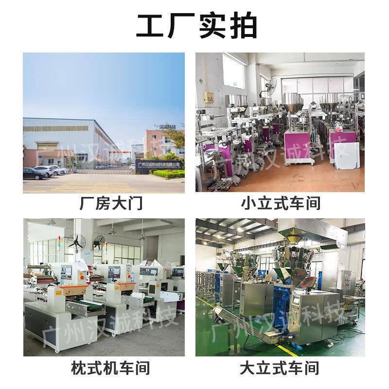 洗衣粉立式装盒机皂粉灌装盒装机洗衣机槽清洁剂装盒线全自动
