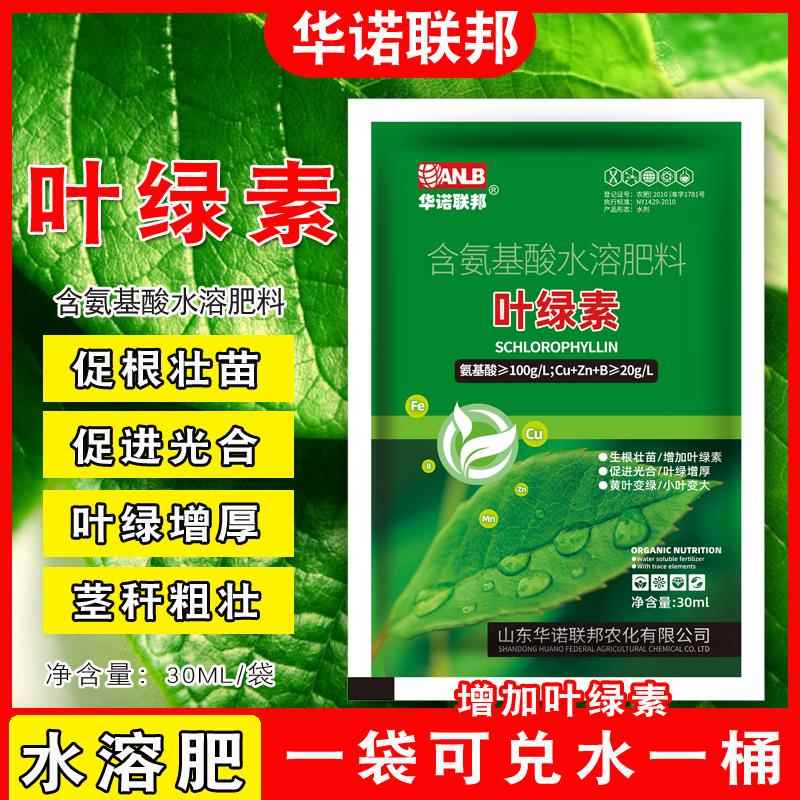 叶绿素叶面肥促根壮苗提苗快光合叶片厚绿嫩防苗弱黄叶小叶水溶肥