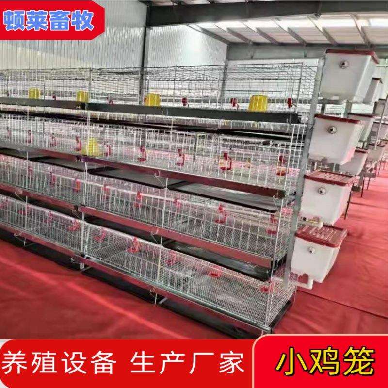 雏鸡笼育雏笼小鸡笼加粗加密养殖笼三层四层立式大型养殖厂家直供