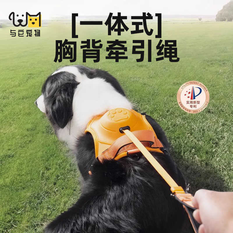 狗狗牵引绳一体式胸背带自动伸缩背心式遛狗绳金毛柯基中型大型犬