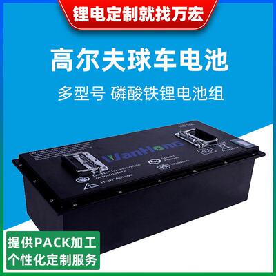 48V100Ah电池lifepo4电动车尔夫球车磷酸铁锂电池组长续航