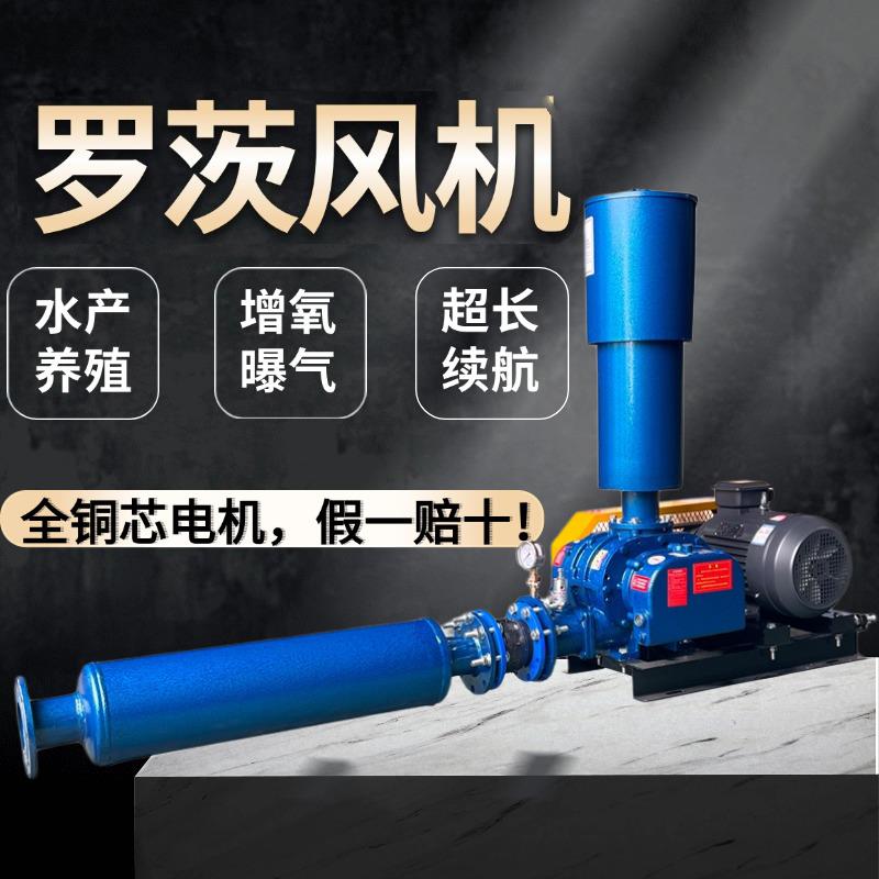 三叶罗茨鼓风机水产养殖风机增氧曝气风机80型罗茨风机