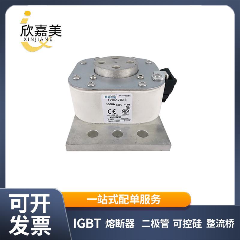 170M7028 170M7031 快速熔断器 保险丝 电子元器件 量大价优