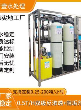 500L/H双级反渗透设备食品油漆涂料行业去离子水机工业RO纯水设备