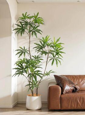 彷真绿色植物孔雀木大型室内客厅沙发边装饰北欧风落地摆件彷生假