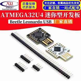 Beetle Leonardo USB ATMEGA32U4 迷你型开发板