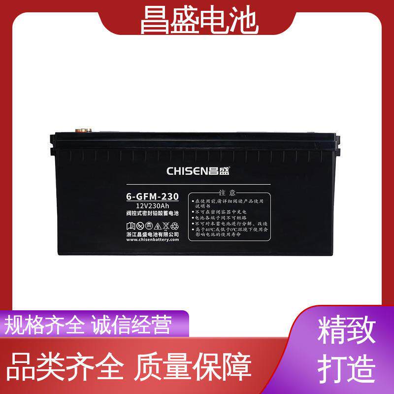 昌盛6-GFMJ-230eps应急电源玩具电源铅蓄电池质量放心