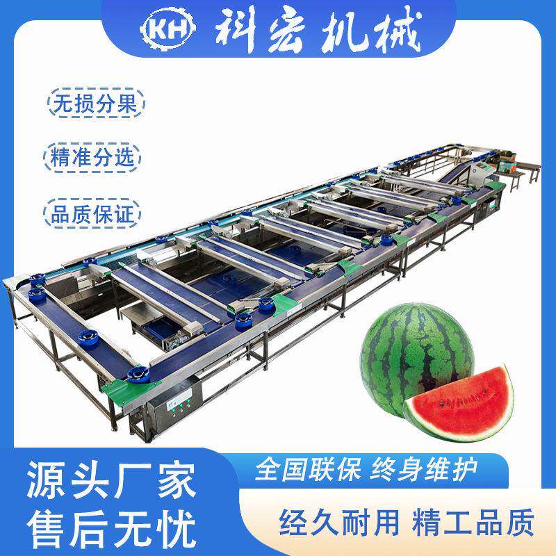 机械无损式重量分选机西瓜无损式重量分选重量分拣