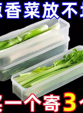 香菜小葱收纳盒冰箱芫荽整根保鲜神器加厚款面 面条鸡蛋备菜保鲜