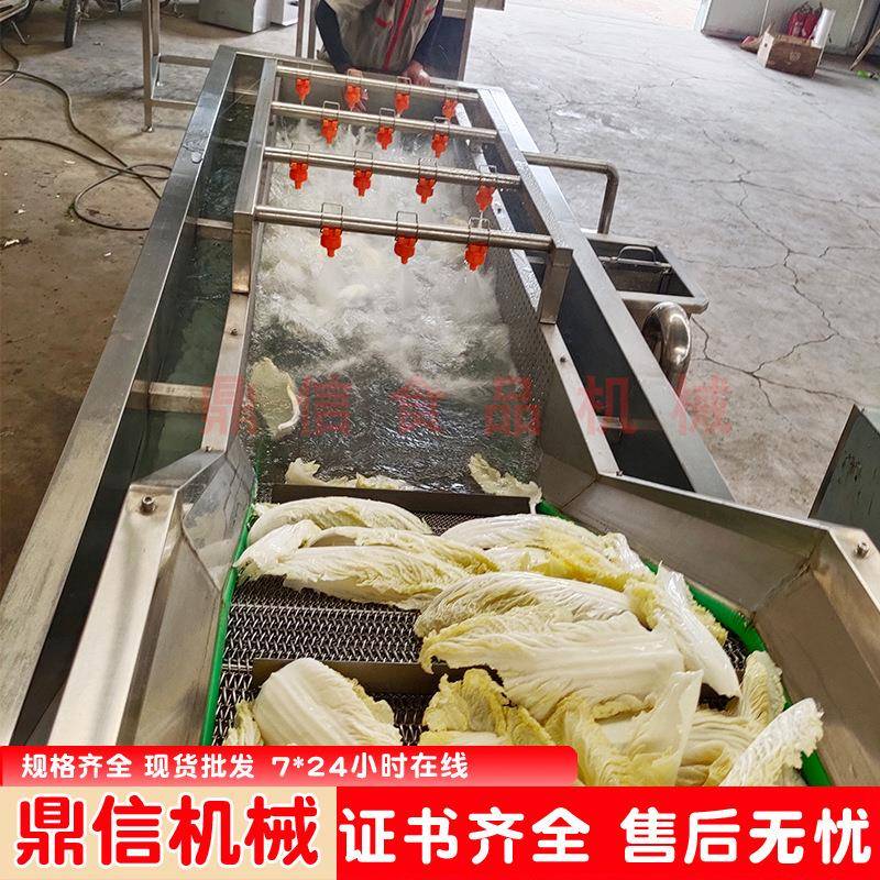 草莓清洗机 桑葚气泡清洗机 桑葚气泡喷淋式清洗机 不锈钢清洗线