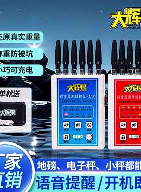 电子秤防控仪A10地磅称重防干扰卖粮防坑新款大辉灰狼HL2语音警报