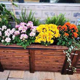 防腐木花箱碳化实木花槽长方形室外花盆种菜箱特大多功能种植萍润