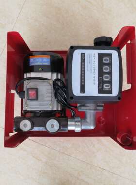 销220V家用计量直柴油油泵小LG-1008型加机可计量电加油泵动油泵