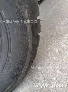 455 40R22.5全钢卡车钢丝胎 455/40R22.5 可配钢圈