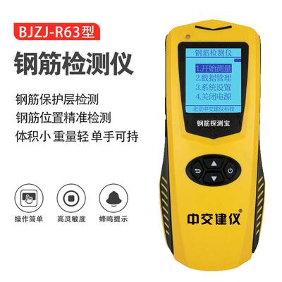 BJZJ-R63钢筋检测仪混凝土钢筋位置测定仪保护层厚度测量BJZJ-R65