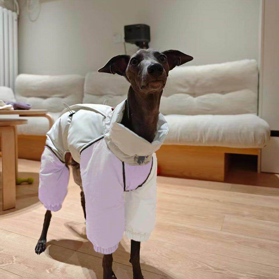 24年中型犬灵提惠比特高领棉衣宠物狗狗秋冬衣服保暖防风生态棉服