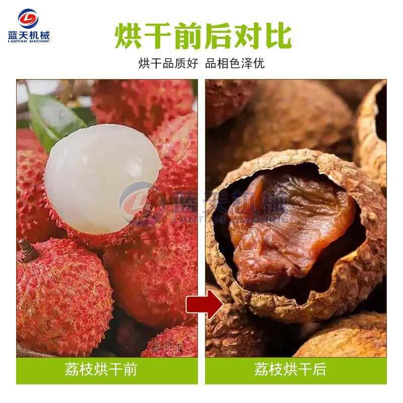网式全荔枝烘干套机自动龙眼桂圆去核MJI烘干整设备荔枝果干燥带