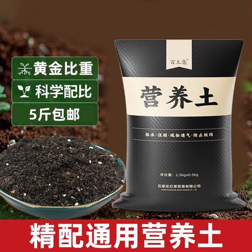 发财树厂家直销代发通用栽培基质