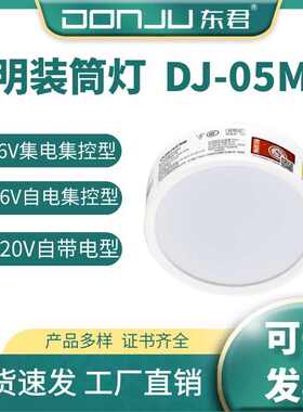 东君智能明装筒灯吸顶感应5W集电集控消防应急联动36V吊装DJ-05M