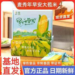 麦秀年早安大苞米旗舰店10支礼盒黄甜糯玉米0添宝宝版15
