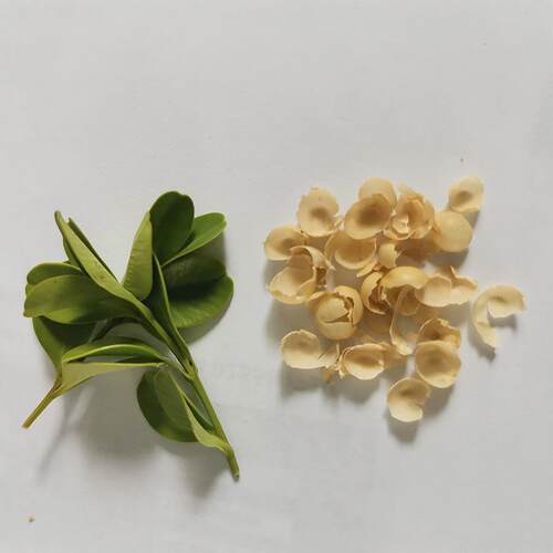 新款大豆脱皮机 成套大豆脱皮机 大型大豆脱皮机大豆磕瓣机