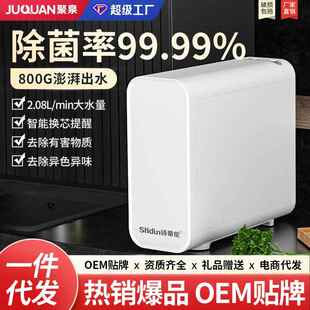 RO反渗透净水器家用直饮800G厨下双出水净水机智能净化过滤纯水机