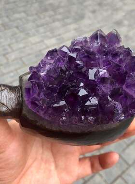天然巴西紫水晶簇摆件 做工精细 雕刻乌龟刺猬