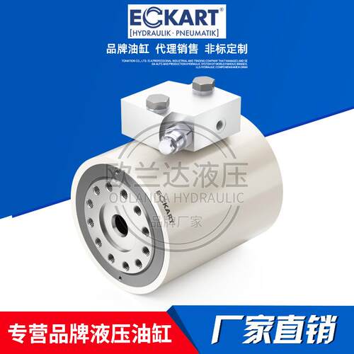 德国Eckart爱卡液压缸DA-H5090°D.WV.SWZS021旋转缸螺旋摆动油缸