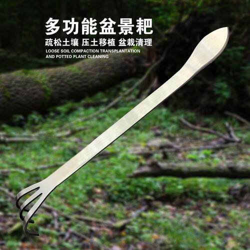 New Dual-Head Stainless Steel Mini Rake - A Small Tool for S