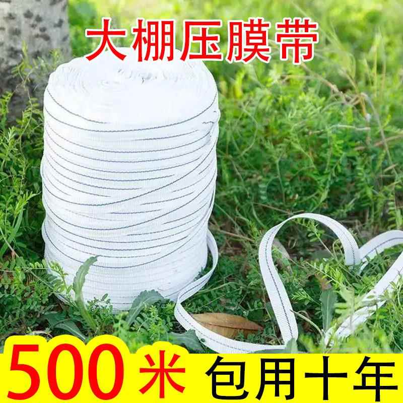 大棚压膜绳耐磨绳子捆绑绳捆绑带压膜带白色尼龙绳宽绳子扁带子绳