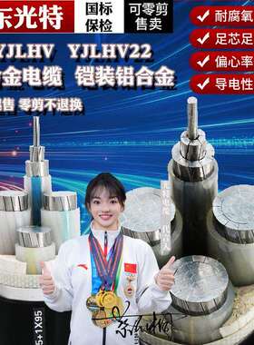 铠装ZRC-YJLHV22铝合金国标阻燃7095185300400平方地埋电缆线