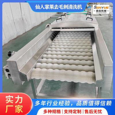 仙人掌果去毛刺清洗机器果蔬平行毛辊清洗设备仙桃清洗机生产厂家