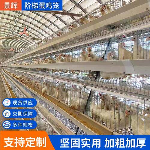 蛋鸡笼阶梯式框架养殖养鸡阶梯笼料线自动喂料线全自动上料设备