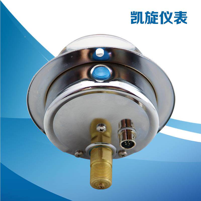 厂锈家供应耐震接压力表点YNXC100ZT 不钢缓冲管弯接头可电定制