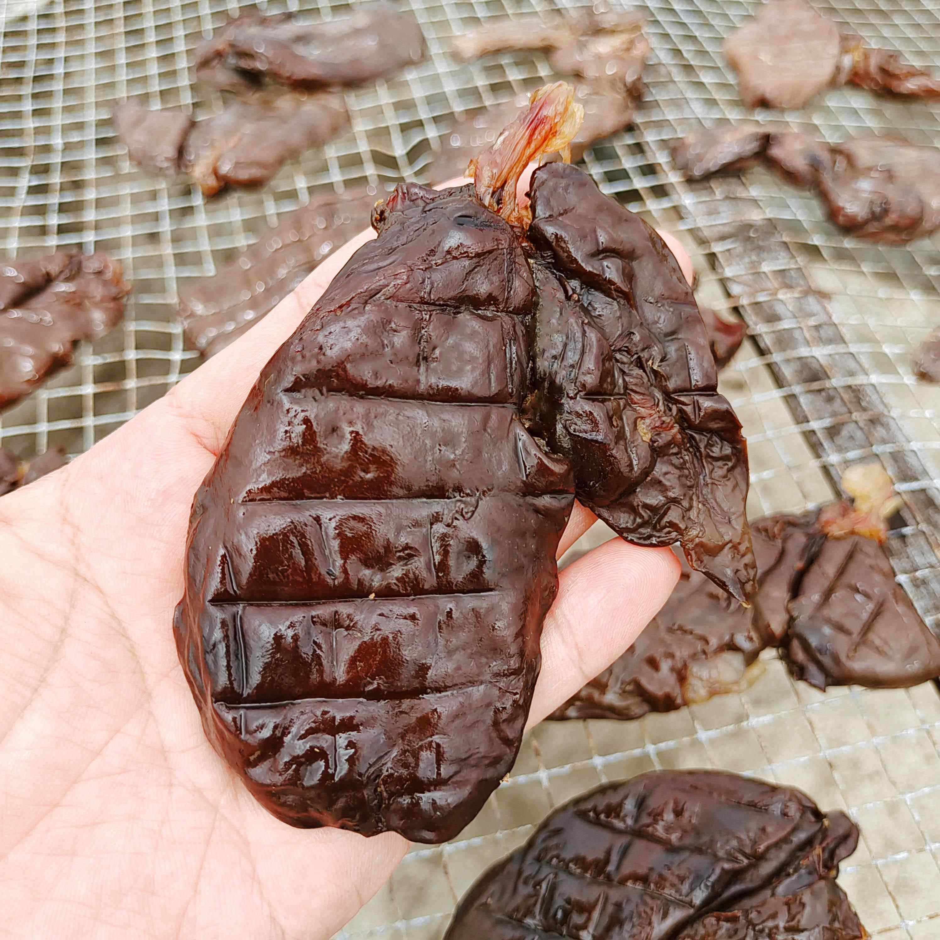 广式腊味东莞虎门特产白沙腊鸭肝大鸭子鸭肝 500g包邮
