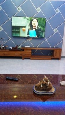 纠结海信H55E3A与长虹55D4P哪个好用？有区别吗？