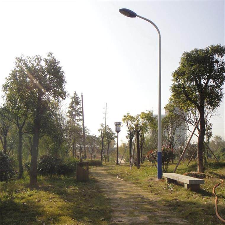 厂价led路灯 200Wled高杆路灯 10米海螺双臂路灯led路灯厂家