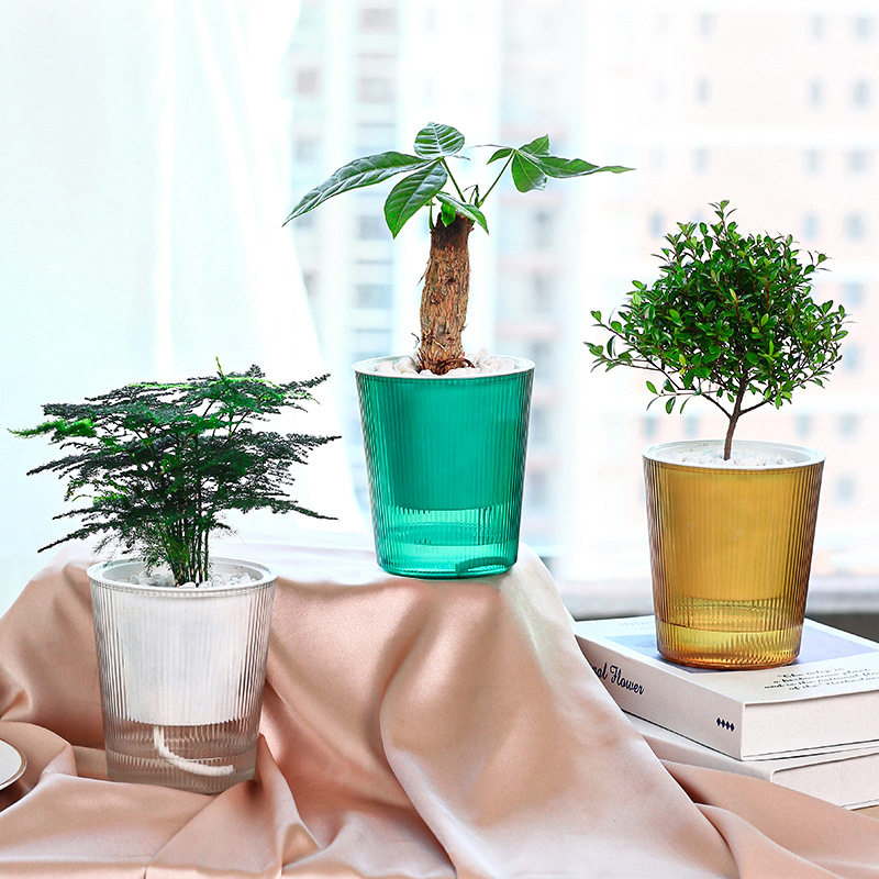 自吸花盆玻璃创意植物绿萝花瓶
