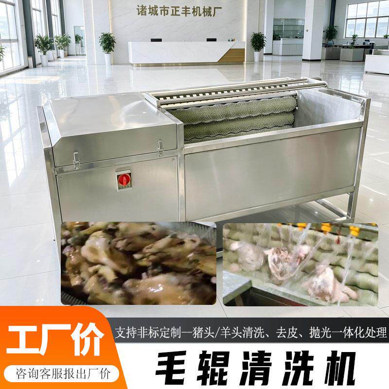 毛辊毛刷清洗机 猪耳朵/羊头清洗去渣抛光机 食品厂肉类加工设备