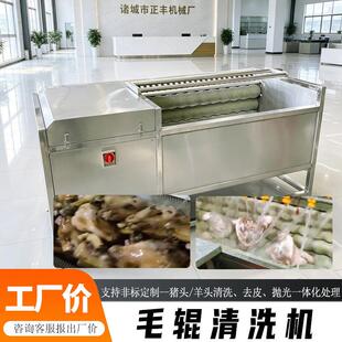 毛辊毛刷清洗机猪耳朵/羊头清洗去渣抛光机食品厂肉类加工设备
