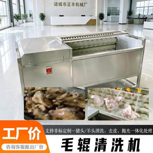毛辊毛刷清洗机猪耳朵/羊头清洗去渣抛光机食品厂肉类加工设备