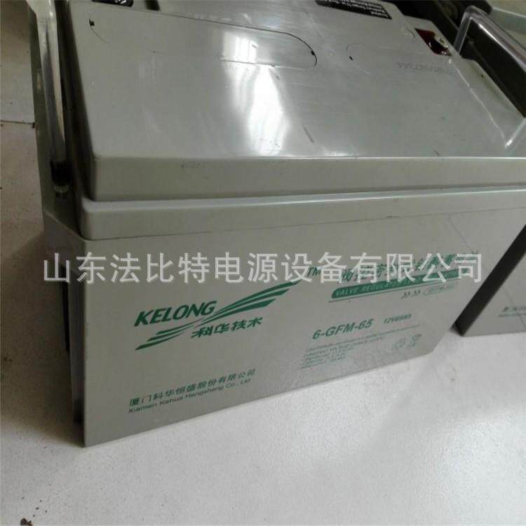 科华蓄电池精卫系列6-GFM-38-YT 12V38AH铅酸免维护蓄电池