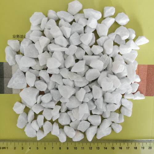 新款直销白色石子石头大鹅卵石庭院铺路铺地小白石头园林枯山水洗