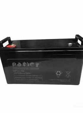 Patict派菲克蓄电池NP65-12V24A38A65A100A120A150消防EPSUPS电源