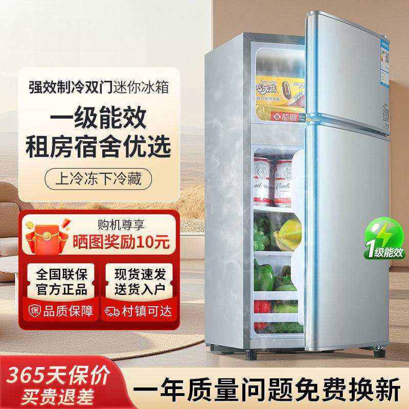 一级能效小冰箱家用小型宿舍租房用迷你省电办公室双门电冰箱