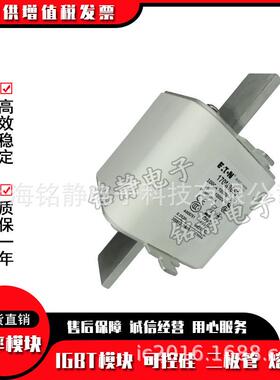 1706M86170M861818170M8191760M8620170M821巴斯曼熔断器现货17M8