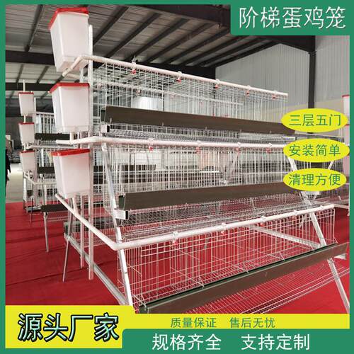 蛋鸡笼A型冷镀锌热镀锌生产厂家加粗阶梯蛋鸡笼三层五门绿槽白槽