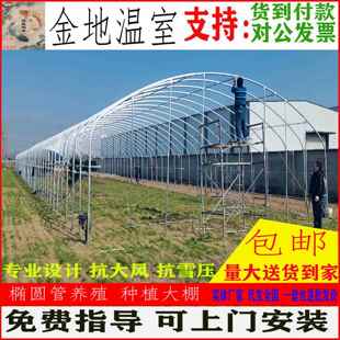 温室大棚骨架养殖羊鸡蔬菜菜园花卉种植椭圆钢管支架简易棚架全套