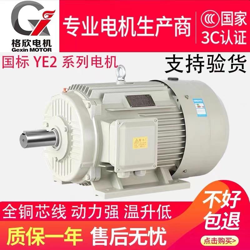 中国厂家直销全铜芯立卧式YE3-200W-2级三相异步电动机