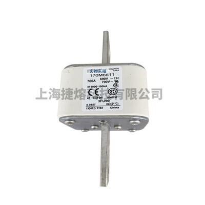 170M6611 170M6616 快速熔断器 保险丝 电子元器件 量大价优